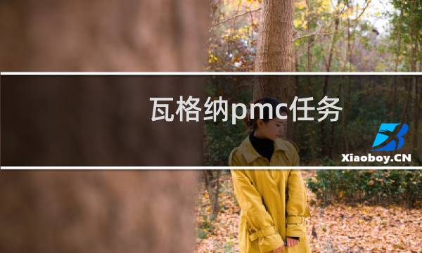 瓦格纳pmc任务
