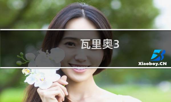 瓦里奥3 攻略