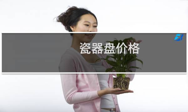 瓷器盘价格