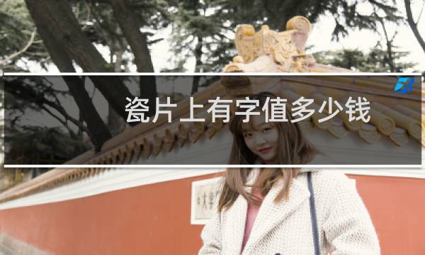 瓷片上有字值多少钱