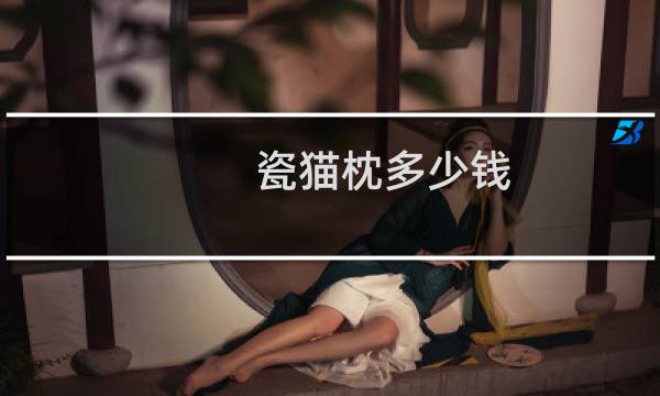 瓷猫枕多少钱