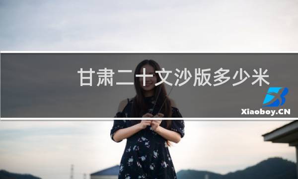 甘肃二十文沙版多少米