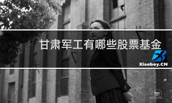 甘肃军工有哪些股票基金