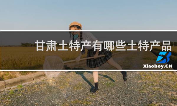甘肃土特产有哪些土特产品