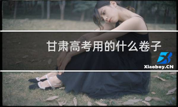 甘肃高考用的什么卷子