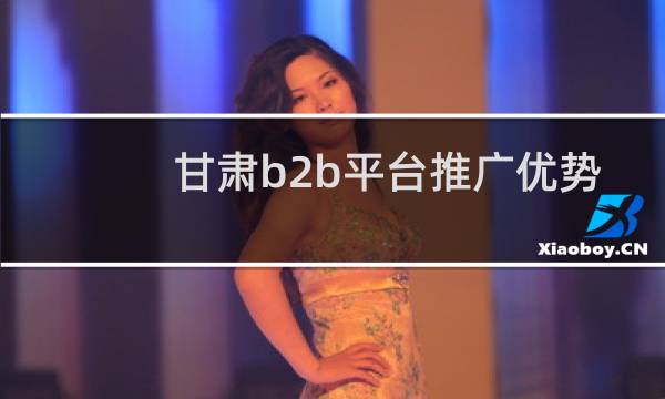 甘肃b2b平台推广优势