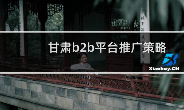 甘肃b2b平台推广策略