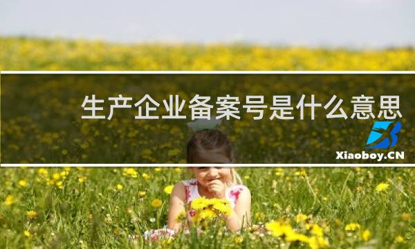 生产企业备案号是什么意思