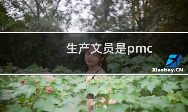 生产文员是pmc
