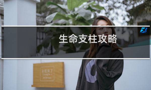 生命支柱攻略