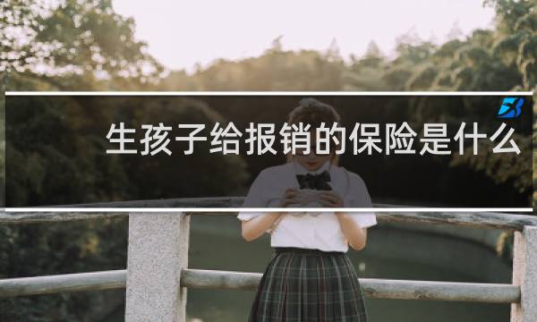 生孩子给报销的保险是什么