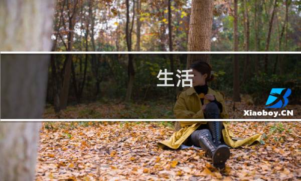 生活  攻略版