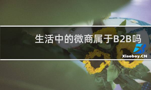 生活中的微商属于B2B吗