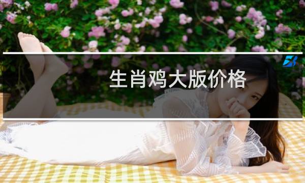 生肖鸡大版价格