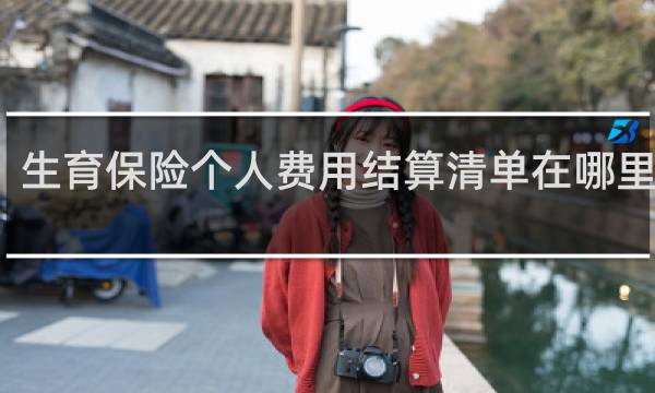 生育保险个人费用结算清单在哪里下载
