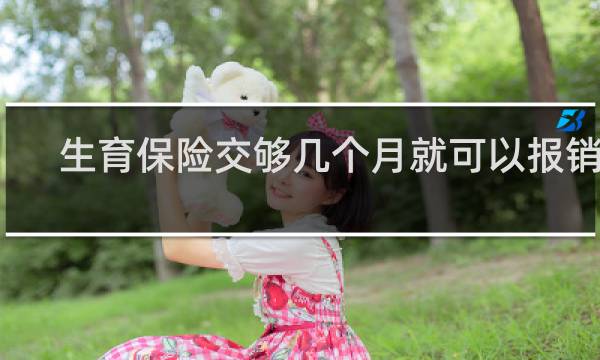 生育保险交够几个月就可以报销了