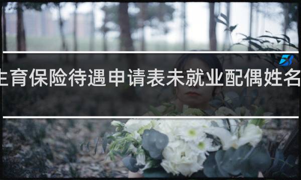 生育保险待遇申请表未就业配偶姓名怎么填