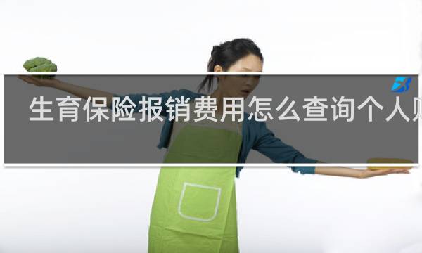 生育保险报销费用怎么查询个人账户