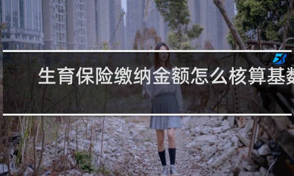 生育保险缴纳金额怎么核算基数