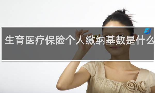 生育医疗保险个人缴纳基数是什么意思