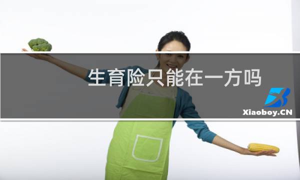 生育险只能在一方吗