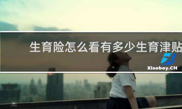 生育险怎么看有多少生育津贴