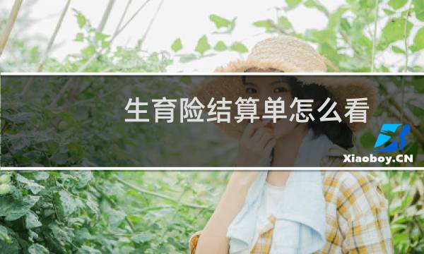 生育险结算单怎么看