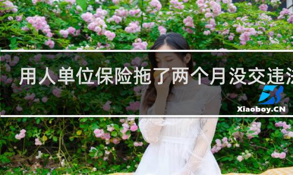 用人单位保险拖了两个月没交违法吗