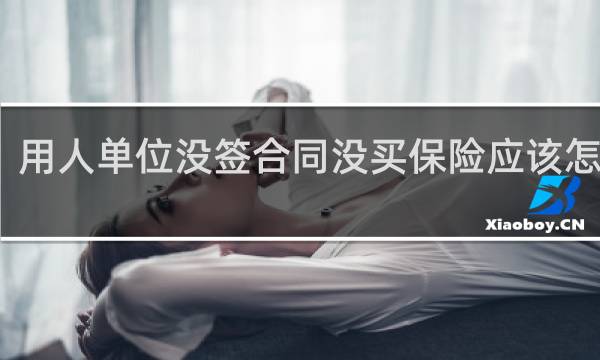 用人单位没签合同没买保险应该怎么办
