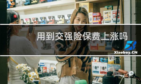 用到交强险保费上涨吗