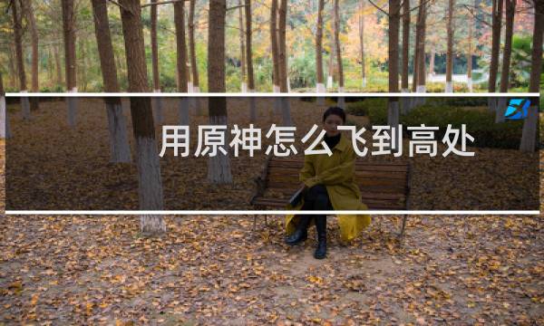 用原神怎么飞到高处