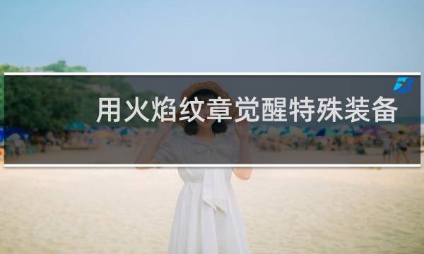 用火焰纹章觉醒特殊装备