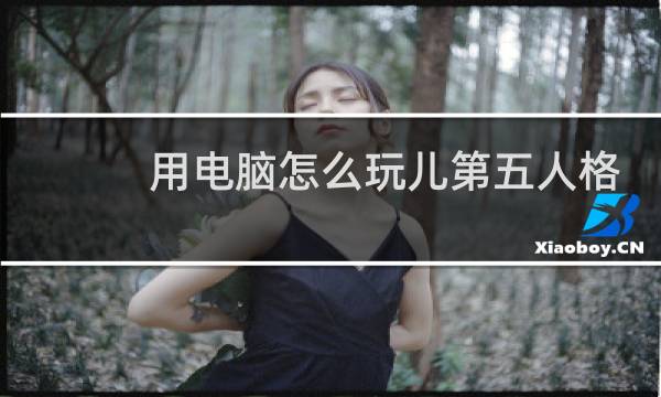用电脑怎么玩儿第五人格