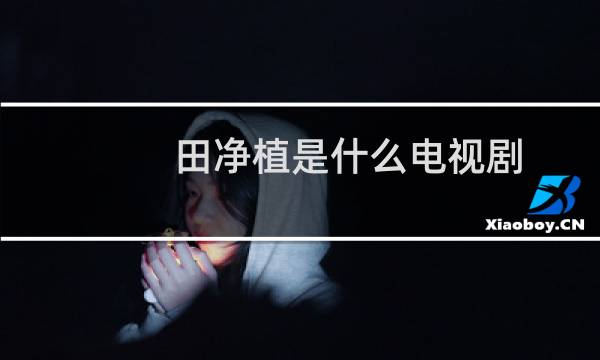 田净植是什么电视剧