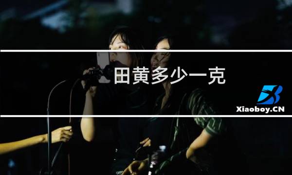 田黄多少一克
