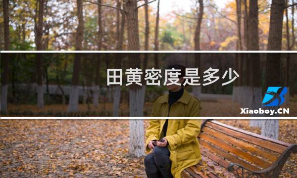 田黄密度是多少