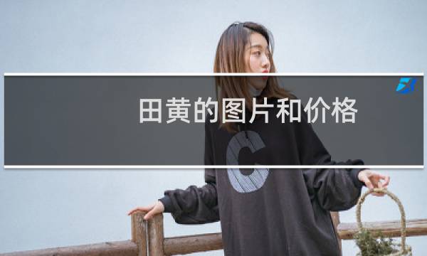 田黄的图片和价格