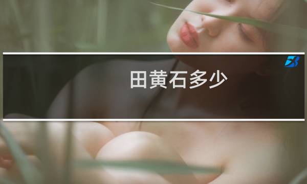 田黄石多少