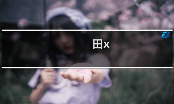 田x 最终幻想