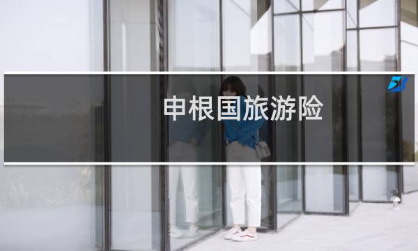申根国旅游险