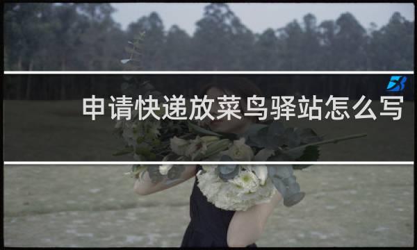 申请快递放菜鸟驿站怎么写