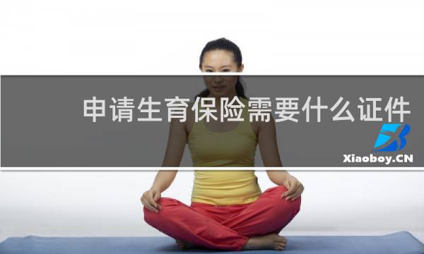 申请生育保险需要什么证件