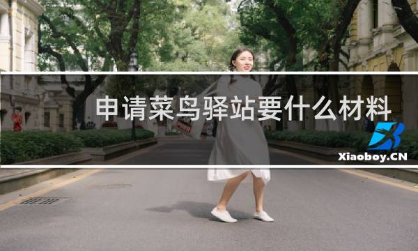申请菜鸟驿站要什么材料