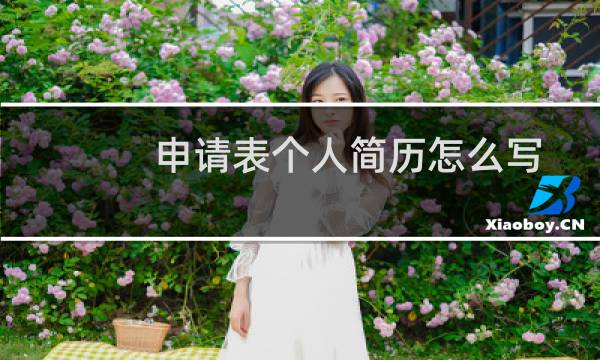 申请表个人简历怎么写