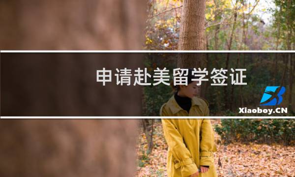 申请赴美留学签证