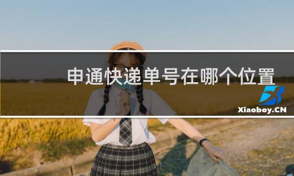 申通快递单号在哪个位置