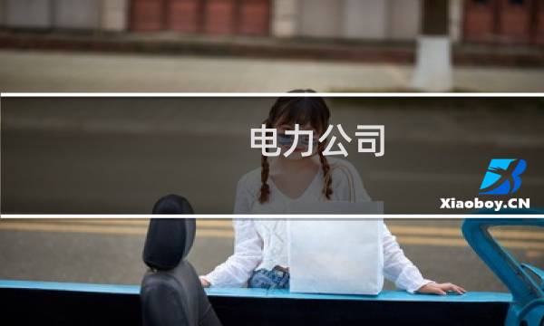 电力公司 攻略