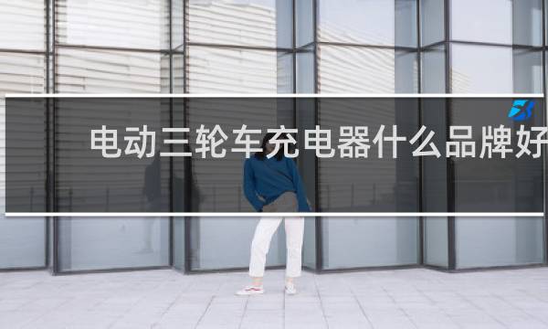 电动三轮车充电器什么品牌好