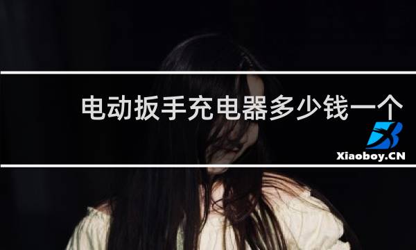 电动扳手充电器多少钱一个