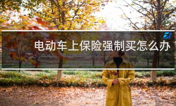 电动车上保险强制买怎么办